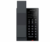 Fanvil H602 (1)
